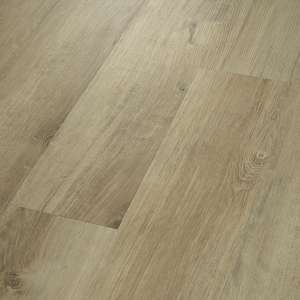 LVL 2 SHAW ENDURA PLUS SILVER DOLLAR 01055